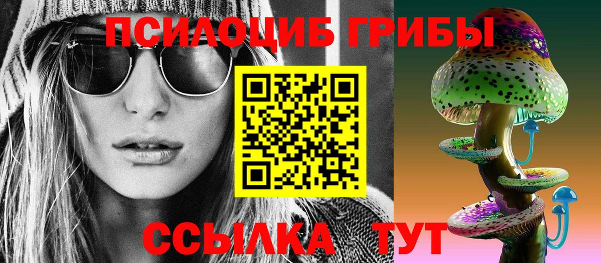 Псилоцибиновые грибы Psilocybe Карасук