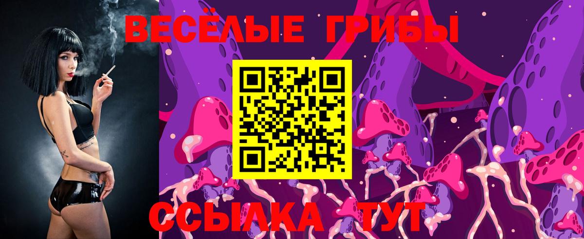 Карасук  Галлюциногенные грибы Psilocybine cubensis  Вход с VPN 